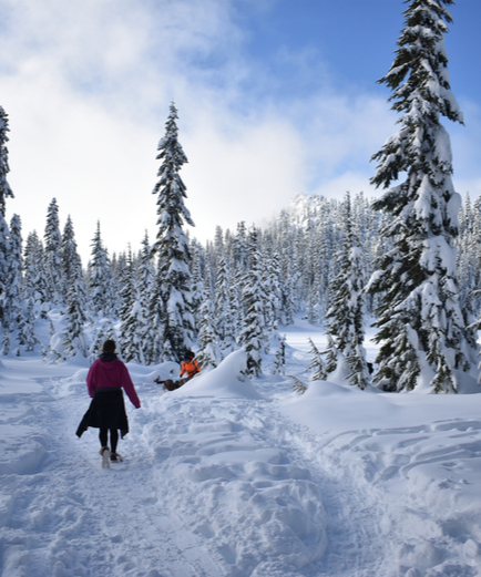 Starline Luxury Coaches - Stevens Pass